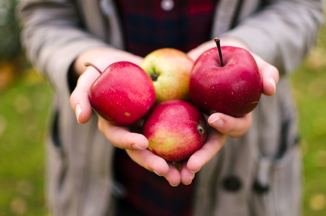 Girl holding apples.