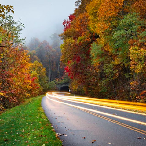 A photo of elapsed driving on a bend on Blue Ridge Parkway with the fall foliage starting to turn. 